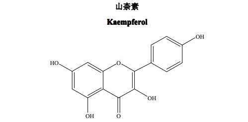 山柰素（山柰酚）中药化学对照品分子结构图