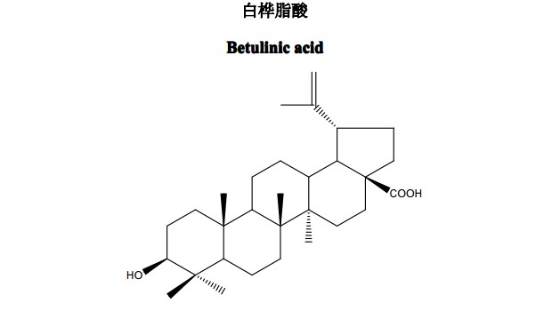 白桦脂酸中药化学对照品分子结构图