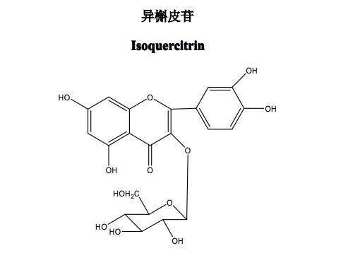 异槲皮苷中药化学对照品分子结构图