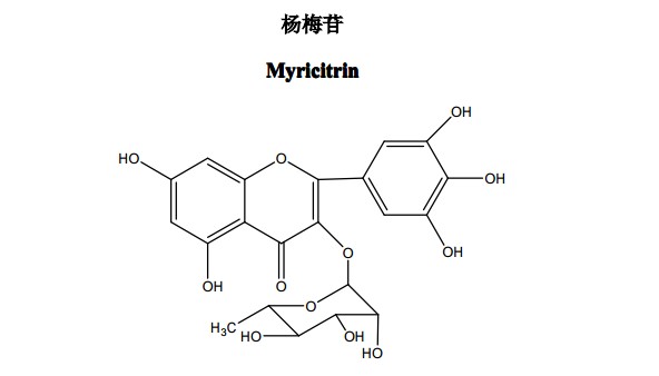 杨梅苷 (Myricitrin)中药化学对照品