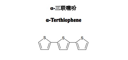 α-三联噻吩对照品