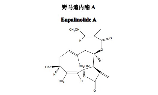 野马追内酯A中药化学对照品