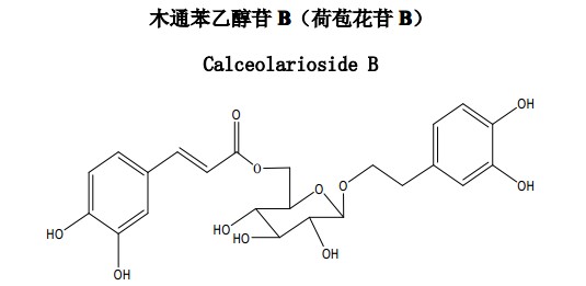 木通苯乙醇苷B（荷苞花苷B）中药化学对照品