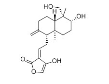 脱水穿心莲内酯