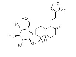 穿心莲新苷