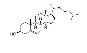 胆固醇对照品