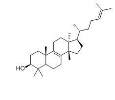 大戟二烯醇对照品