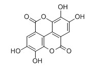 鞣花酸对照品