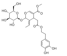 橄榄苦苷对照品