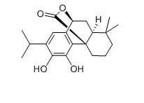 鼠尾草酚对照品