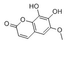 秦皮素对照品