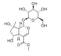 山栀苷甲酯对照品