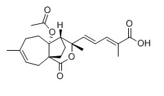 土荆皮甲酸对照品