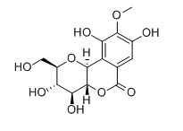 岩白菜素对照品