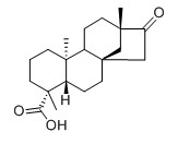 异甜菊醇对照品