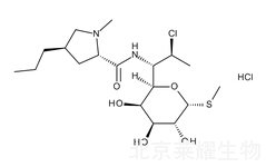 盐酸克林霉素标准品