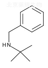 N-苄基叔丁基胺标准品