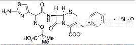 头孢他啶五水合物标准品