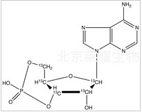 Adenosine-3’,5’-cyclic-13C5