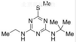 特丁净标准品