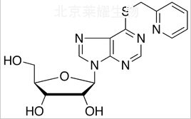 标准品