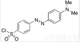 Dabsyl Chloride