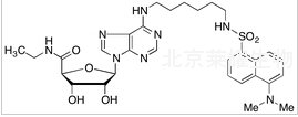 Dansylhexyl NECA