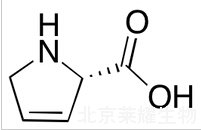 3,4-脱氢-L-脯氨酸标准品