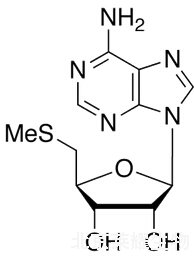 5ˊ-脱氧-5ˊ-甲硫基腺苷标准品