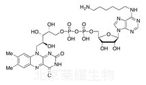 N6-(6-Aminohexyl)-FAD标准品