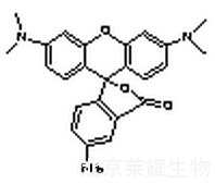 5-Aminotetramethyl Rhodamine标准品