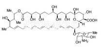 两性霉素B标准品