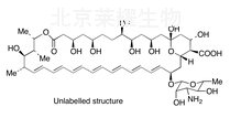 Amphotericin B deuterated