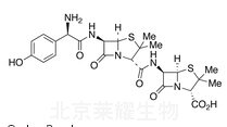 APA Amoxicillin Amide