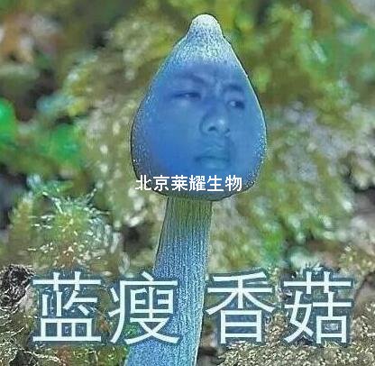 蓝瘦香菇被抢注册