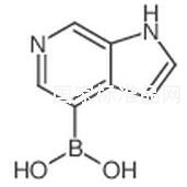 6-Azaindole-4-boronic acid