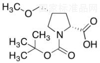 标标照片