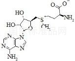 (S,S)-Adenosyl-L-Methionine