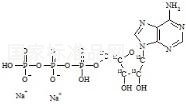腺苷-5′-三磷酸二钠盐-13C5标准品