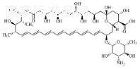 两性霉素B标准品