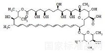 两性霉素X1标准品