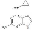 Cyclopropyldiaminopurine Abacavir