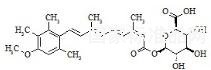 13-cis-Acitretin Glucuronide