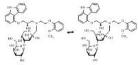 Lactulosyl (R)-Carvedilol标准品