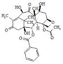 10-Deacetyl-13-Oxo-Baccatin III