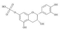 (-)-Epicatechin-7-Sulfate