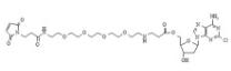 5'-(3-MAL-PEG2-aminobutanoate)-cladribine