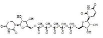 P1, P5-Di(Uridine-5')-Pentaphosphate