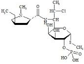 克林霉素杂质1标准品