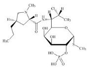 克林霉素磷酸酯杂质L标准品